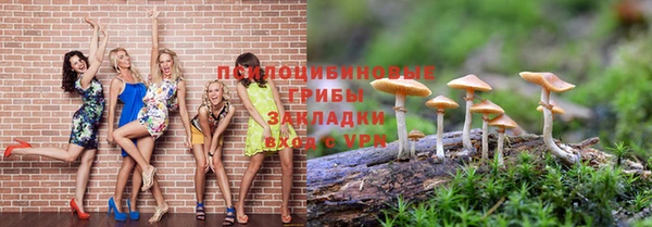 тгк Беломорск