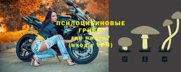 мяу мяу мука Белоозёрский