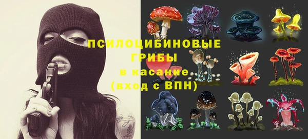 тгк Беломорск