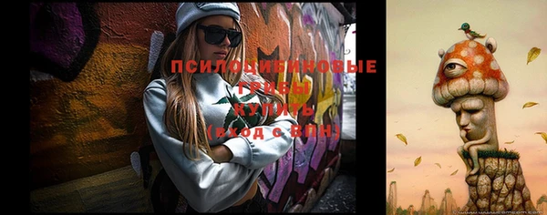 марки nbome Белокуриха