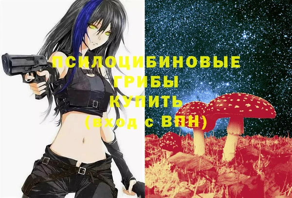 тгк Беломорск