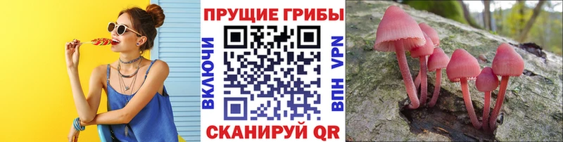 MEGA как зайти  это как зайти  Горно-Алтайск  Псилоцибиновые грибы прущие грибы  где можно купить  