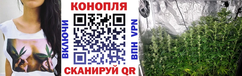 Бошки Шишки Bruce Banner  Горно-Алтайск 